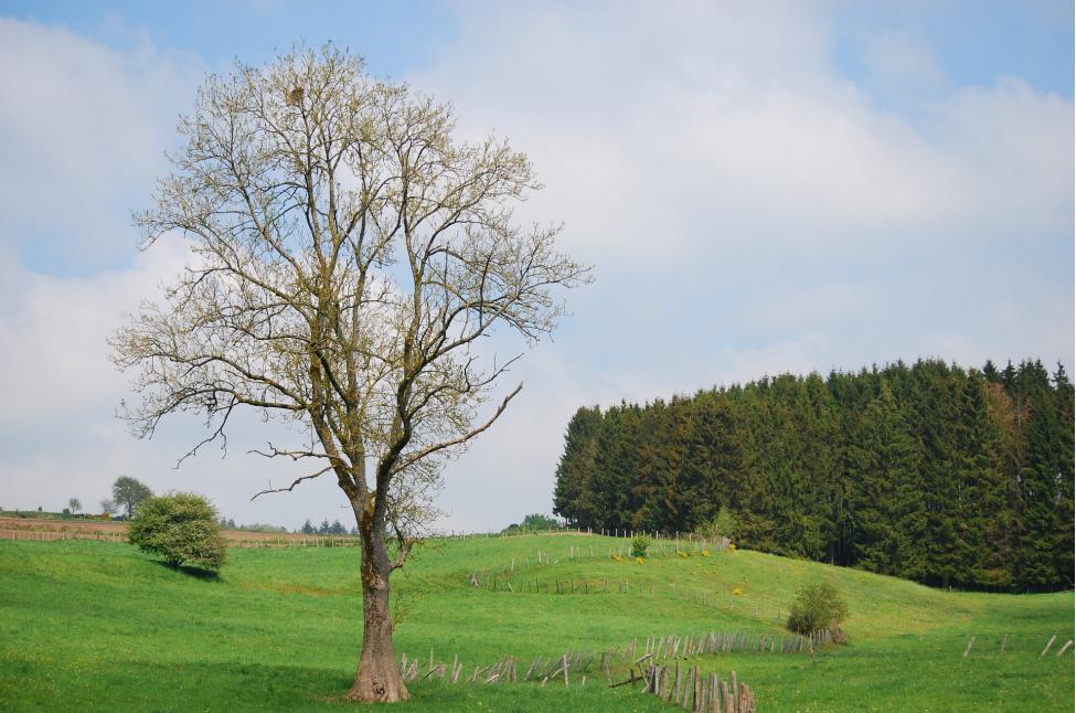 Houffalize Houffalize